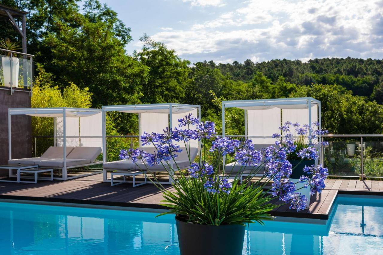 Domaine De Chalveches Hotel Spa 4* Faugeres  Ngoại thất bức ảnh